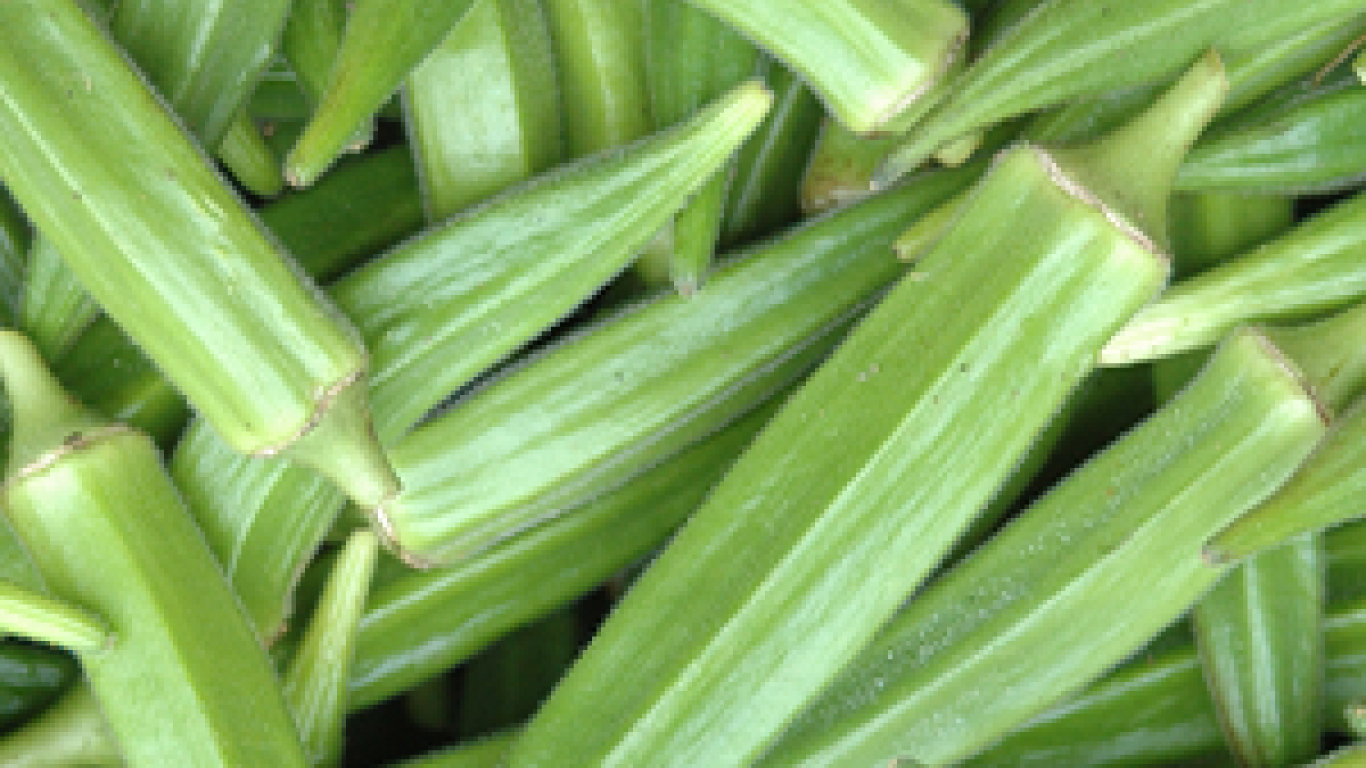 和みの杜の農産物(オクラ)