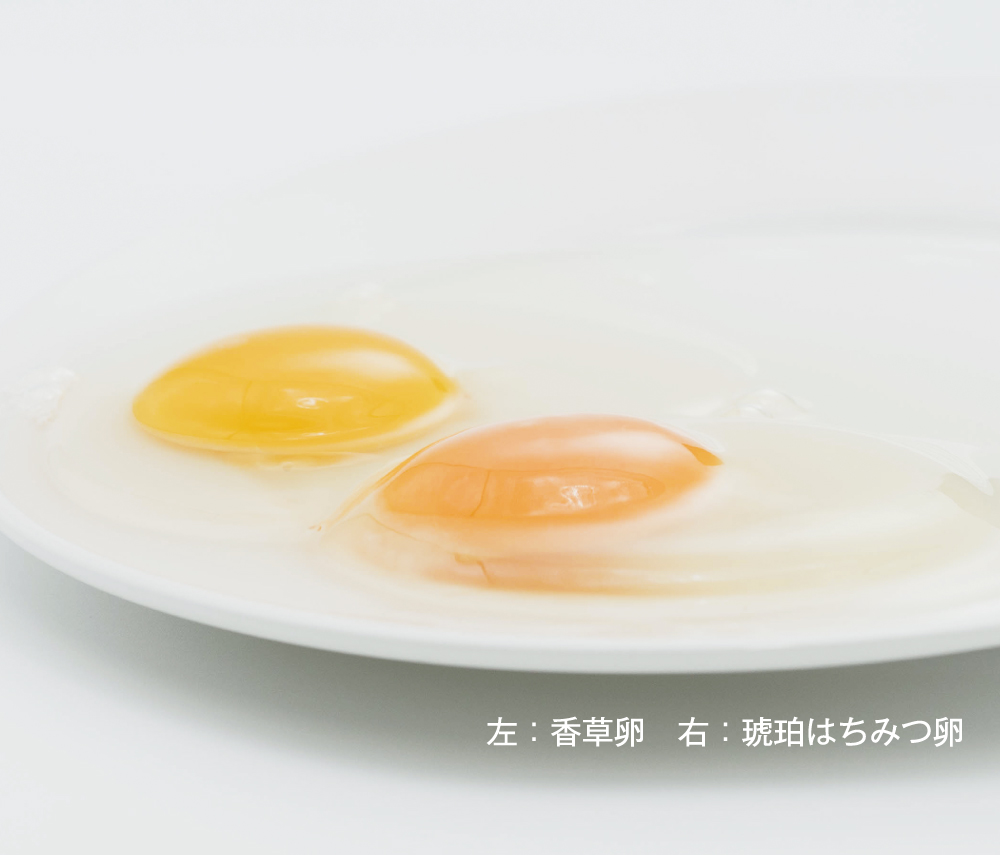 和みの杜平飼い卵
